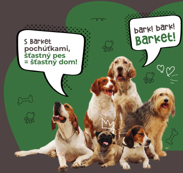 Dogs on green background