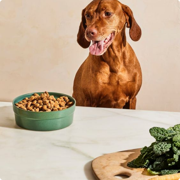 Ako rozoznať kvalitné jedlo od nekvalitného